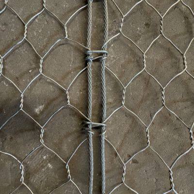 Shijiazhuang Factory PVC Coating Active Hexagonal Rock Netting System Woven Plain Weave Technique for Rockfall Protection