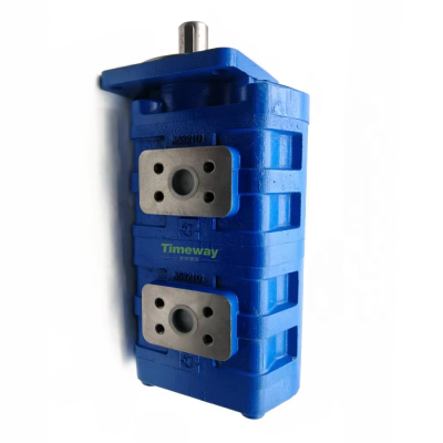 TIMEWAY CBG Hydraulic Gear Pump CBG-J63/63L Industrial Double Gear Oil Pump High-Performance photo-6