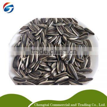 5009 sunflower seeds,sunflower seed market price