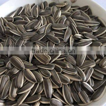 sunflower seed raw ton price,