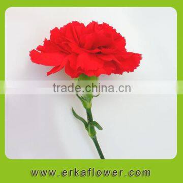 Diversified in packaging factory direct decorative flowers autumn carnation in bunch