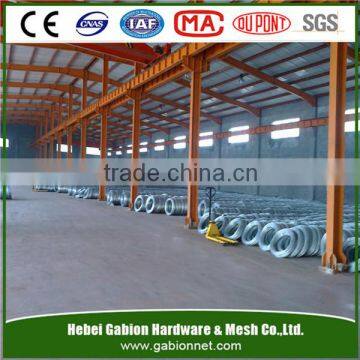 High Tension Hot Dipped Galvanized Steel Wire Binding Wire