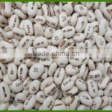 White Carved Beans Magic Engraved Bean In Promotion