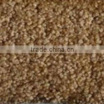 Brown Color Nylon Carpet with Cut Pile (N200-N900)