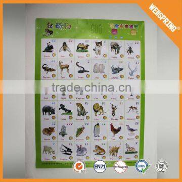 Famous plastic wholesale anatomy wall chart