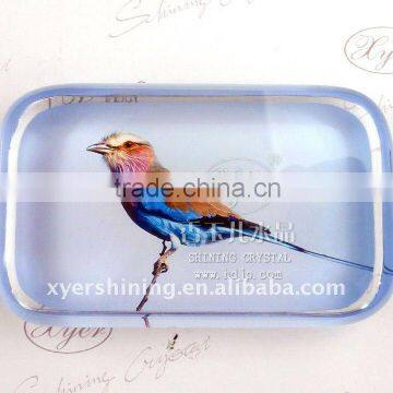 Lively Crystal Souvenir Gift Office Decoration Paperweight