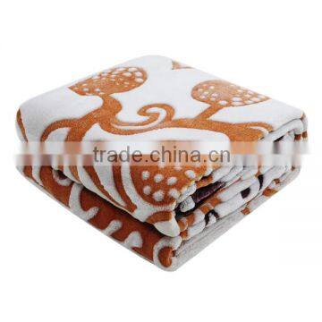 China supplier polyester Silk Touch Blanket