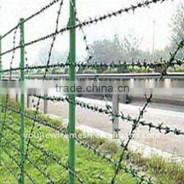 Barbed Iron Wire Fence(Manufacturer)