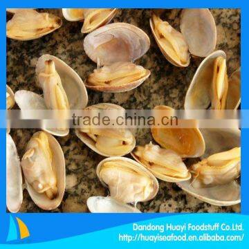 frozen boiled short necked clam