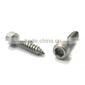 socket head stainless steel screw