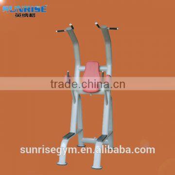 vertical knee raise machine