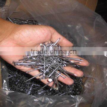 high quality (china factory)hot dipped galvanized common nail and ring shank roofing nail umbrella head nail