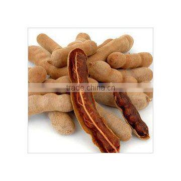 Tamarind Gum Kernel Powder - Food Ingredients
