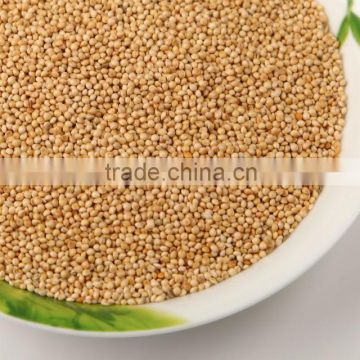 yellow millet bird and fish feed machine clean China origin