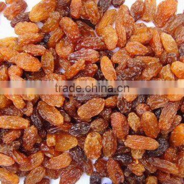 China dried sultana raisin