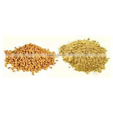 Fenugreek Powder photo-3