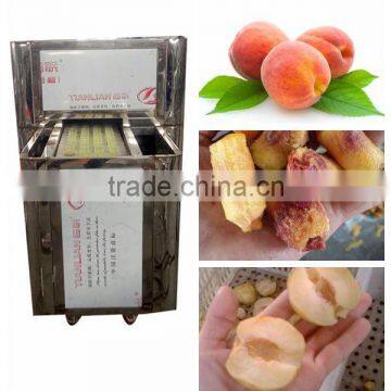 Industrial fruit corer peach corer