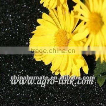 grain plant growth regulator K hummus acid