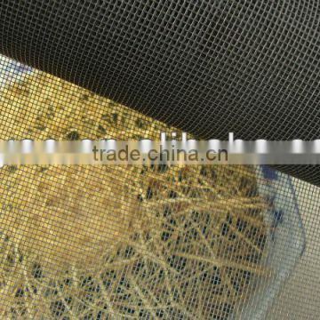 anti insect mesh/window screen mesh