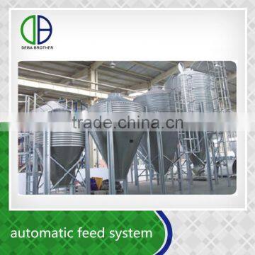 Feeding system for pig farm automatic control save time and labor