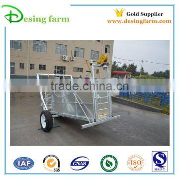 Semi side panel trailer of livestock trailer for sheep panel