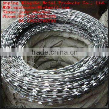 Razor Wire Concertina/Razor Wire Fencing