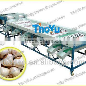 THOYU brand Stainless steel Garlic Sorting Machine by size(0086 15903677328)