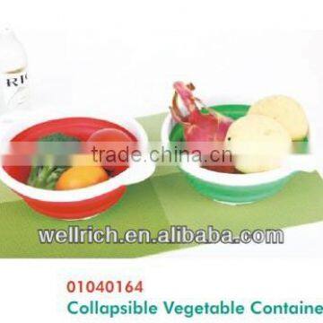 01040164 Collapsible Vegetable Container