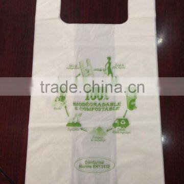 home compostable shopping bag