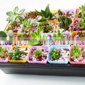 Plastic Raised Garden Bed