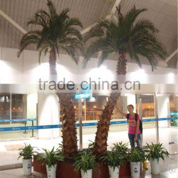 SJ12001204 Plastic Palm Tree/ Big Palm Tree/home Garding Indoor Palm Tree photo-4