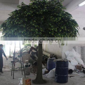 Hot Sale Artificial Ficus Tree in Factory Price photo-4