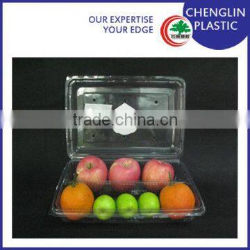 Clear Blister Disposable Plastic Fruit Container