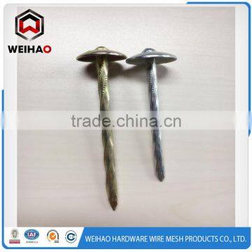 Manufacturers of umbrella head roofing nails 9G 2.5"