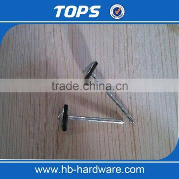 China Corrugated Umbrella Roofing Nails photo-2