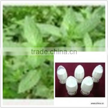 Herba Menthae Powder