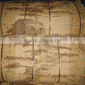 Thatched Reed photo-2