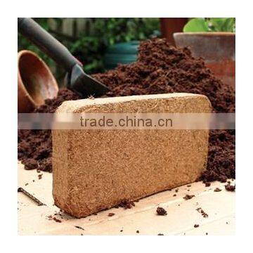 Coco Peat Bricks Coarse Extrawashed