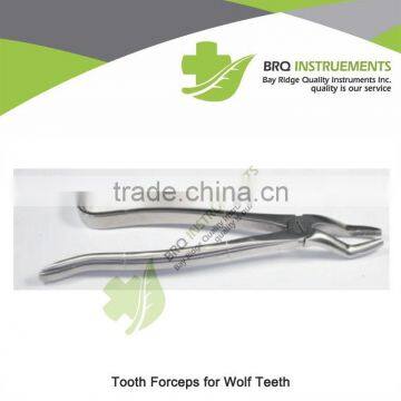 Tooth Forceps for Wolf Teeth