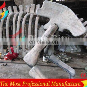 Full Size High Realistic Museum Quality Dinosaur Skeleton photo-2
