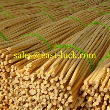 Rattan Cane