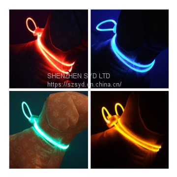 Pet Collars dog LED Collar light