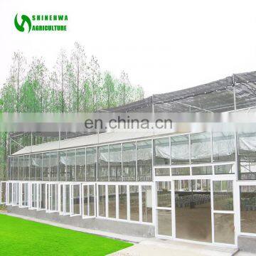 Multi Span Agricultural Glass Greenhouse