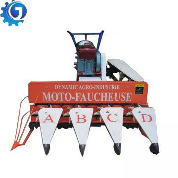 Factory price Rice cutting machine paddy rice cutting machine sesame cutting machine price