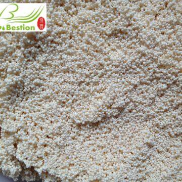 Astragaloside extraction adsorbent resin