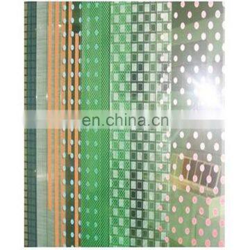 all kinds designs of coloured dot silk printing  tempered glass