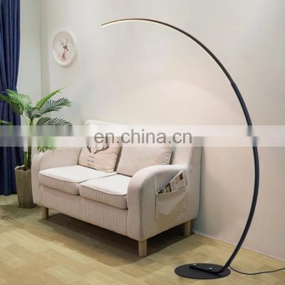 Fancy Ins LED Floor Lamps Modern Living Room Arc LED Floor Fishing Light