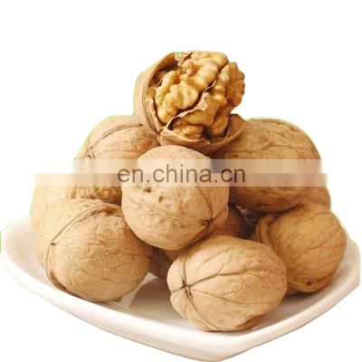 best grade dry walnut nuts fruits