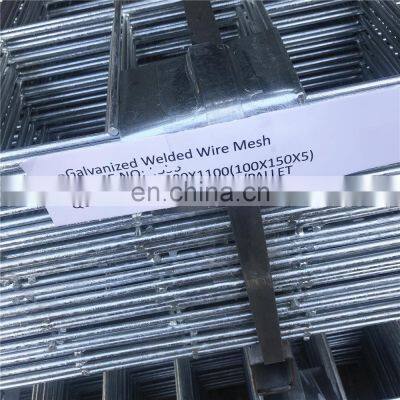 Wholesale Galvanized Welded Wire Mesh Direct Factory photo-4