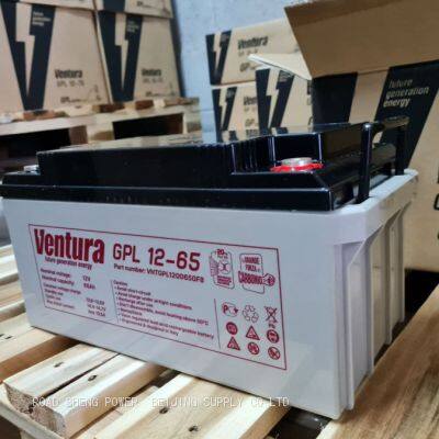 Ventura GPL 12-65 BATTERY BB BP5-12 12B Russia MSDS